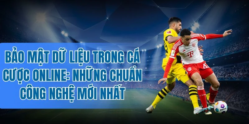 Dấu hiệu sân chơi an toàn