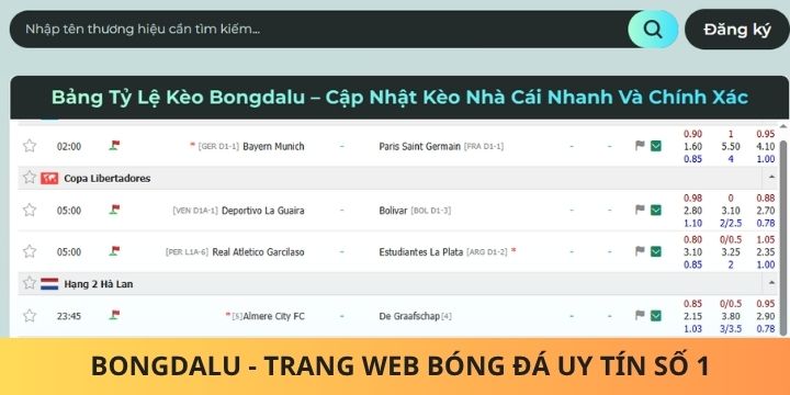 Bongdalu mới nhất, cập nhật thông tin soi kèo nhanh chóng
